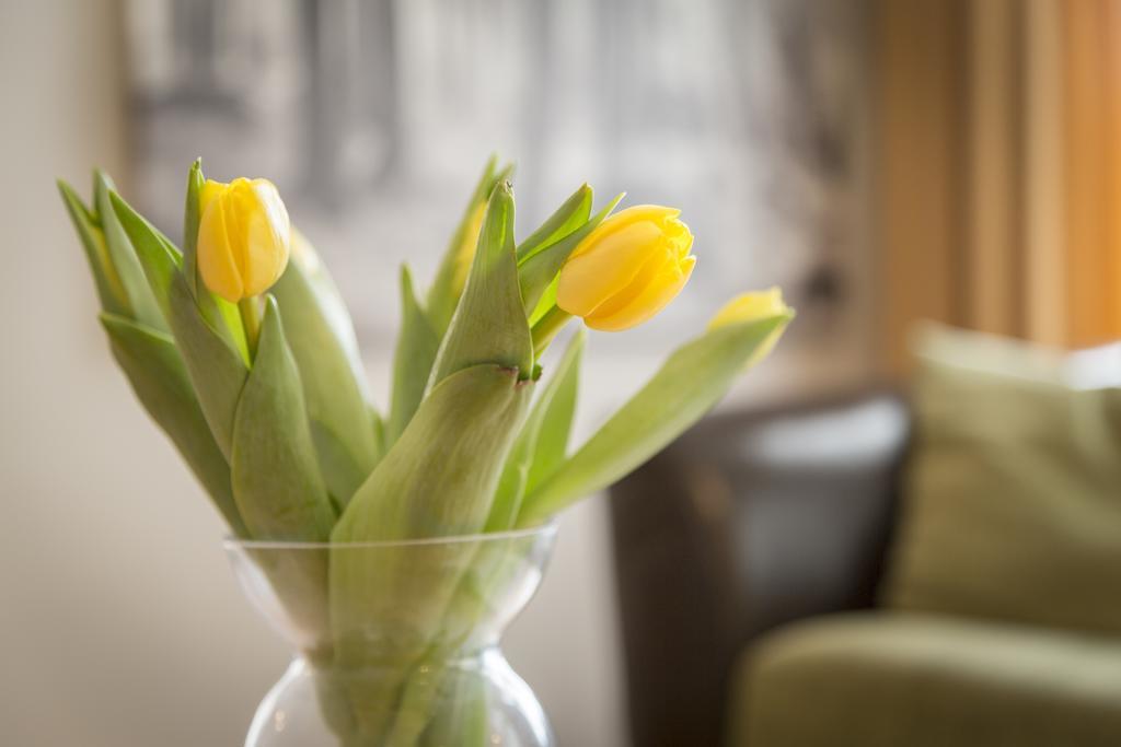 Saaresalu City Center Apartment ปาร์นู ภายนอก รูปภาพ